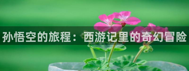 羞羞漫画嗯嗯啊啊：孙悟空的旅程：西游记里的奇幻冒险