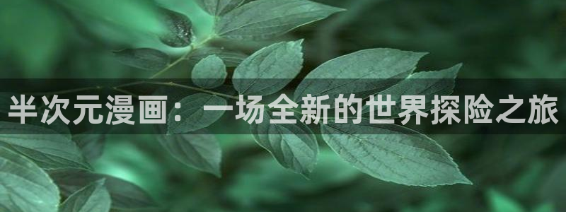 歪歪漫画羞羞漫画在线观看：半次元漫画：一场全新的世界探险之旅